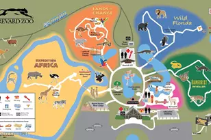 6461 Borasco Dr, Melbourne, FL 32940 - Photo 100