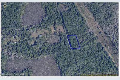0 Unknown Avenue, Mims, FL 32754 - Photo 1