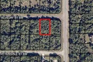 814 Bluejay Street SW, Palm Bay, FL 32908 - Photo 1