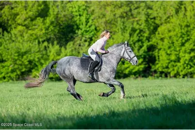 342 Trotters Street, Palm Bay, FL 32909 - Photo 8