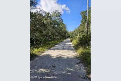 4600 N Beacon Light Road N, Edgewater, FL 32141 - Photo 8