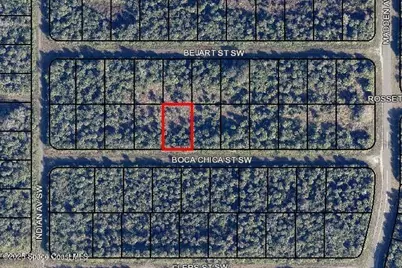 861 Boca Chica Street SW, Palm Bay, FL 32908 - Photo 2