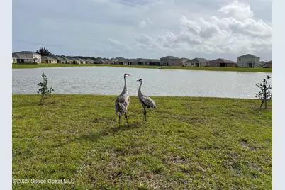 976 Trinity Street, Rockledge, FL 32955 - Photo 50