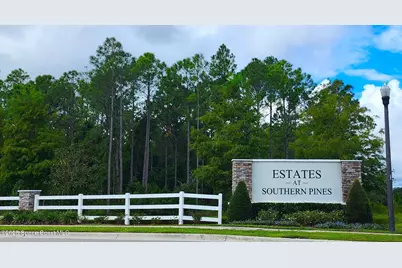 3948 Southern Vista Loop, St. Cloud, FL 34772 - Photo 2