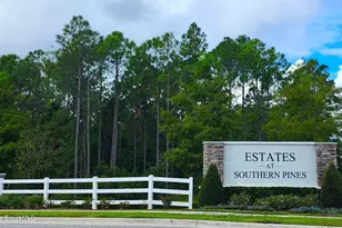 3948 Southern Vista Loop, St. Cloud, FL 34772 - Photo 2