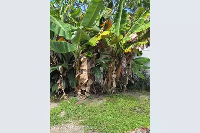 310 Glenwood Avenue, Satellite Beach, FL 32937 - Photo 8