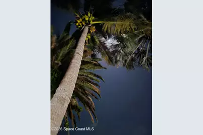 310 Glenwood Avenue, Satellite Beach, FL 32937 - Photo 34