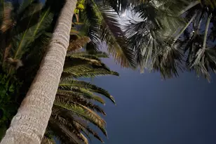 310 Glenwood Ave, Satellite Beach, FL 32937 - Photo 34