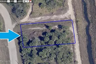 3119 Nighthawk Ave SW, Palm Bay, FL 32908 - Photo 2