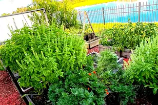 5090 Hebron Dr, Merritt Island, FL 32953 - Photo 36