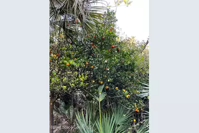 6555 S Tropical Trail, Merritt Island, FL 32952 - Photo 24