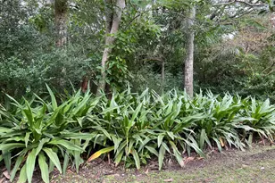 6555 S Tropical Trail, Merritt Island, FL 32952 - Photo 22