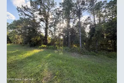 3900 Rambling Acres Drive, Titusville, FL 32796 - Photo 1
