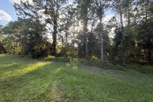 3900 Rambling Acres Dr, Titusville, FL 32796 - Photo 1