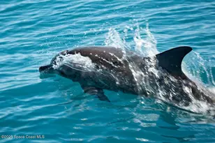 15 N Indian River Dr, Cocoa, FL 32922 - Photo 42