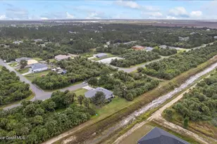 3138 Pomello Ave SW, Palm Bay, FL 32908 - Photo 38