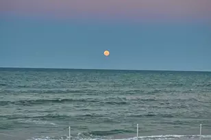 175 Hwy A1A Hwy, Satellite Beach, FL 32937 - Photo 14