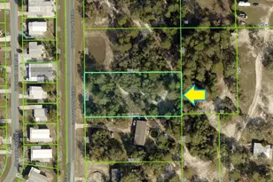 0 Weeping Willow St, Brooksville, FL 34613 - Photo 8