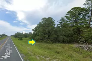 0 Weeping Willow St, Brooksville, FL 34613 - Photo 4