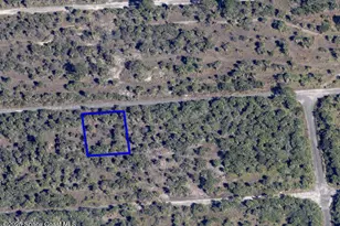 1018 Dorinda St SW, Palm Bay, FL 32908 - Photo 1