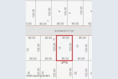 1032 Echinata Street SW, Palm Bay, FL 32908 - Photo 2