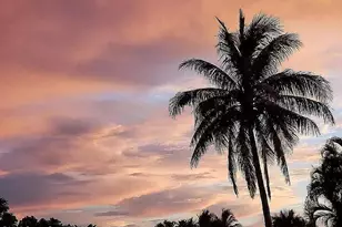 725 Puesta Del Sol Plaza, Indialantic, FL 32903 - Photo 52