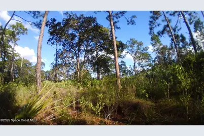 0 Magnolia Road, Grant-Valkaria, FL 32950 - Photo 2