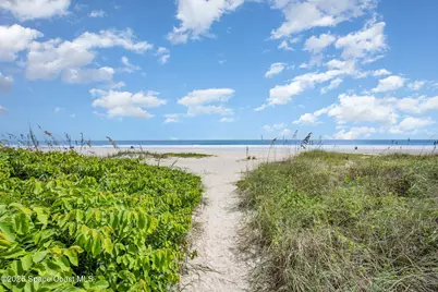 8743 Seagrape Court, Cape Canaveral, FL 32920 - Photo 20