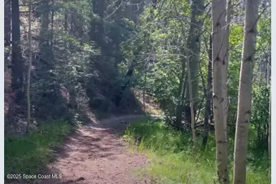 1158 Altair Way, Grant-Valkaria, FL 32950 - Photo 28