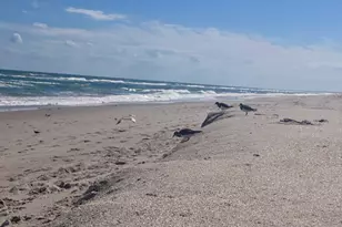 115 Aquarina Blvd, Melbourne Beach, FL 32951 - Photo 56