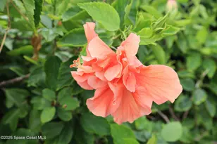 115 Aquarina Blvd, Melbourne Beach, FL 32951 - Photo 40