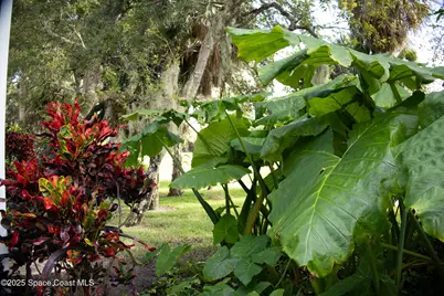 115 Aquarina Boulevard, Melbourne Beach, FL 32951 - Photo 54