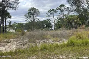 491 La Coco St SW, Palm Bay, FL 32908 - Photo 1