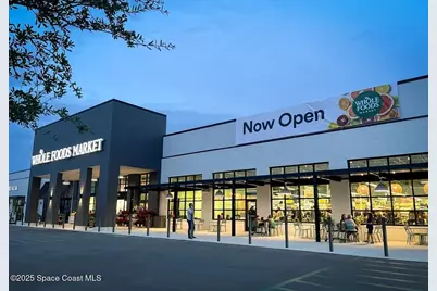 6421 Borasco Drive #3204, Melbourne, FL 32940 - Photo 84