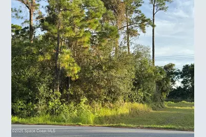 666 Henlock Street SE, Palm Bay, FL 32909 - Photo 4