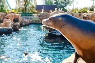 7030 N Hwy 1, Cocoa, FL 32927 - Photo 42