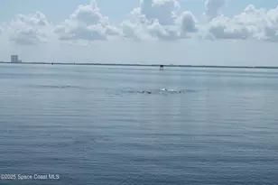 1140 Cheney Hwy, Titusville, FL 32780 - Photo 36