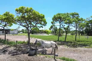 4850 Old Dixie Hwy, Grant-Valkaria, FL 32949 - Photo 42