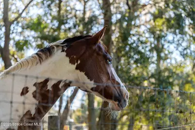 4630 James Road S, Cocoa, FL 32926 - Photo 46