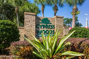 7368 Crepe Myrtle Ct, Cocoa, FL 32927 - Photo 48