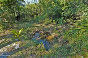 4060 Edisto Dr, Grant-Valkaria, FL 32949 - Photo 50