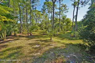 4060 Edisto Dr, Grant-Valkaria, FL 32949 - Photo 52