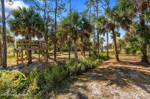 5849 Judy Kay Rd, Grant-Valkaria, FL 32949 - Photo 58