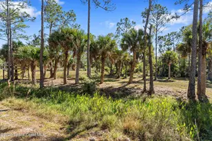 5849 Judy Kay Rd, Grant-Valkaria, FL 32949 - Photo 56