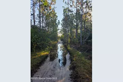 0000 Wood Duck Drive, Mims, FL 32754 - Photo 18