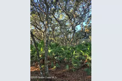 0000 Wood Duck Drive, Mims, FL 32754 - Photo 22