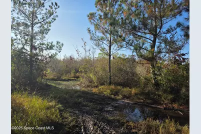 0000 Wood Duck Drive, Mims, FL 32754 - Photo 28