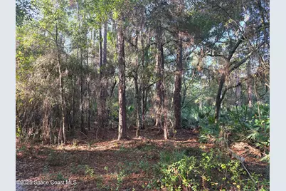 0000 Wood Duck Drive, Mims, FL 32754 - Photo 12