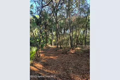 0000 Wood Duck Drive, Mims, FL 32754 - Photo 34