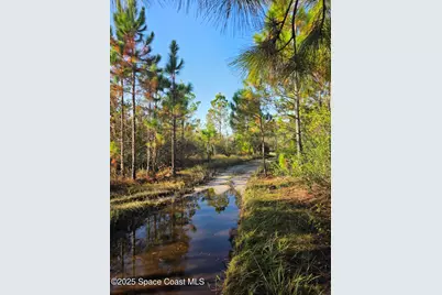 0000 Wood Duck Drive, Mims, FL 32754 - Photo 26